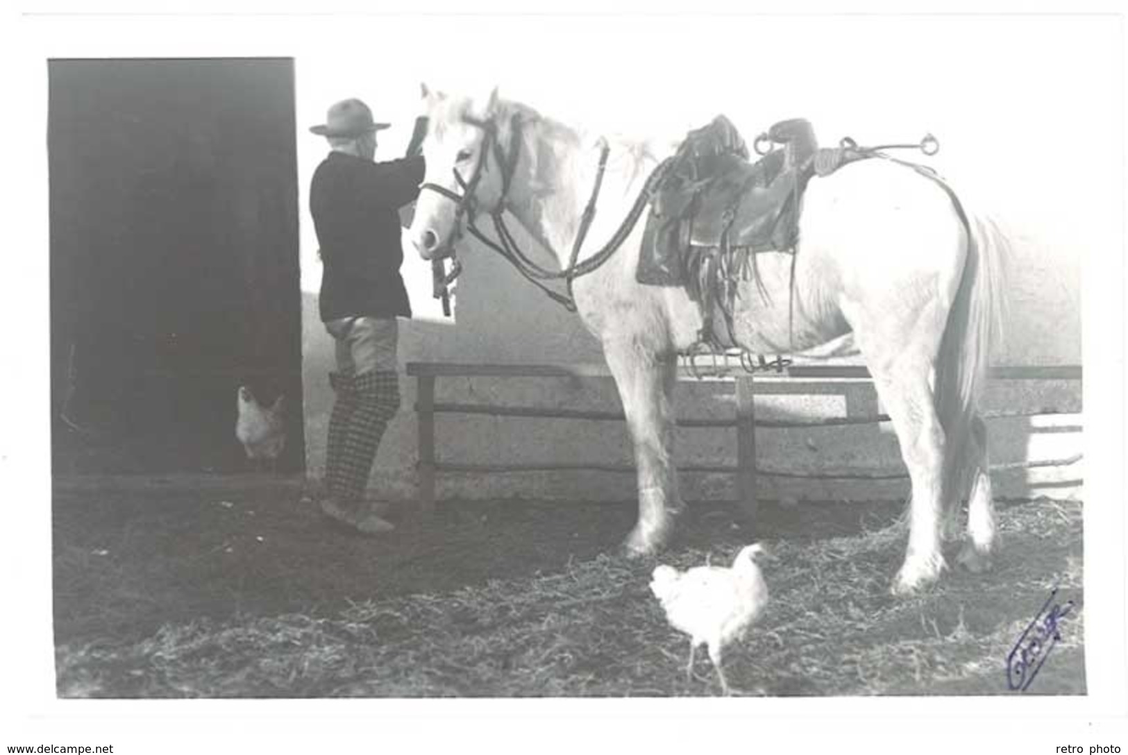 Carte Photo George , Camargue, Gardian & Son Cheval, Poule   ( FO ) - Costumes