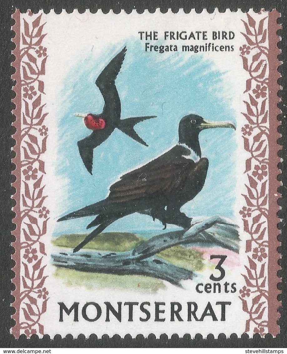 Montserrat. 1970 Birds. 3c MNH. SG 244 - Montserrat