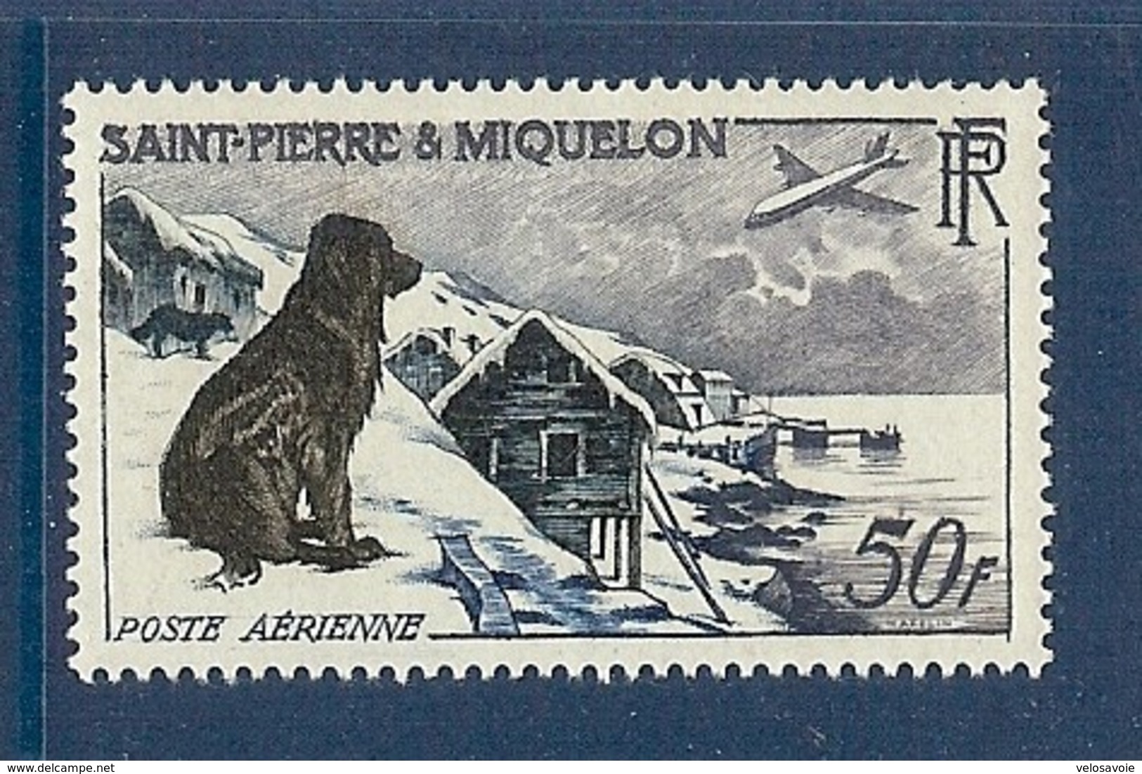 ST PIERRE PA 24 CHIEN ** - Unused Stamps