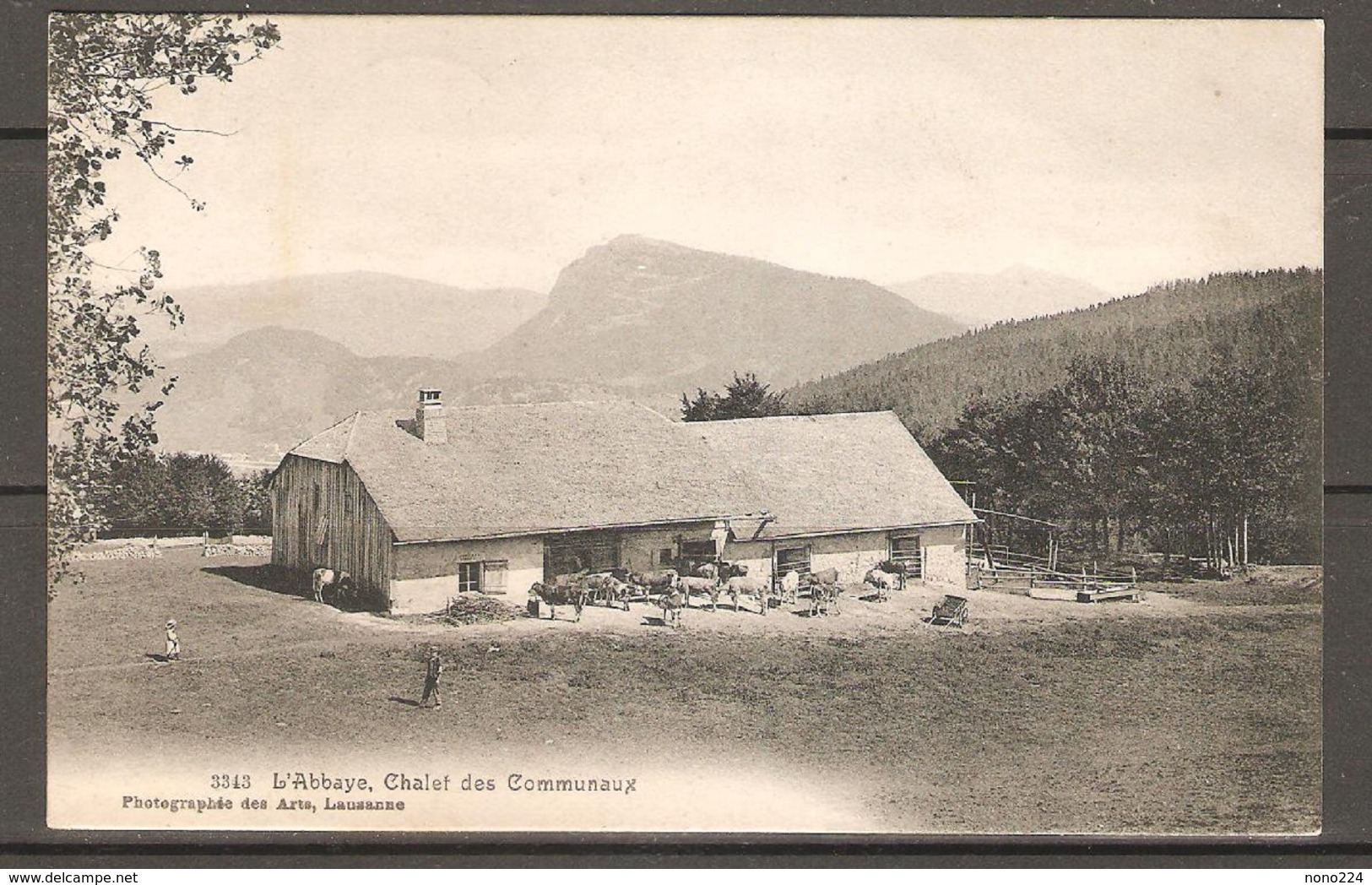 Carte P De 1908 ( L'Abbaye / Chalet Des Communaux ) - L'Abbaye