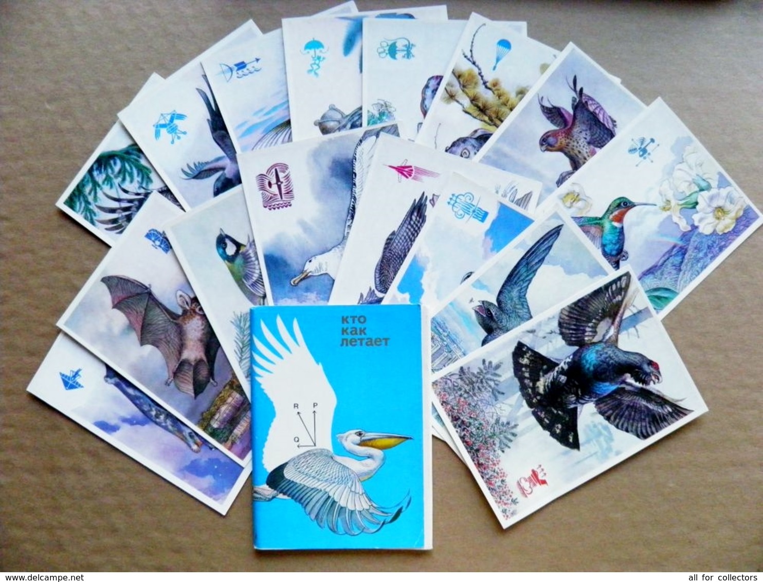 16 Post Cards Cartes In Folder Ussr 1978 Who Like To Fly Birds Oiseaux Lizard Frog Bat Rodent Fish - Vögel