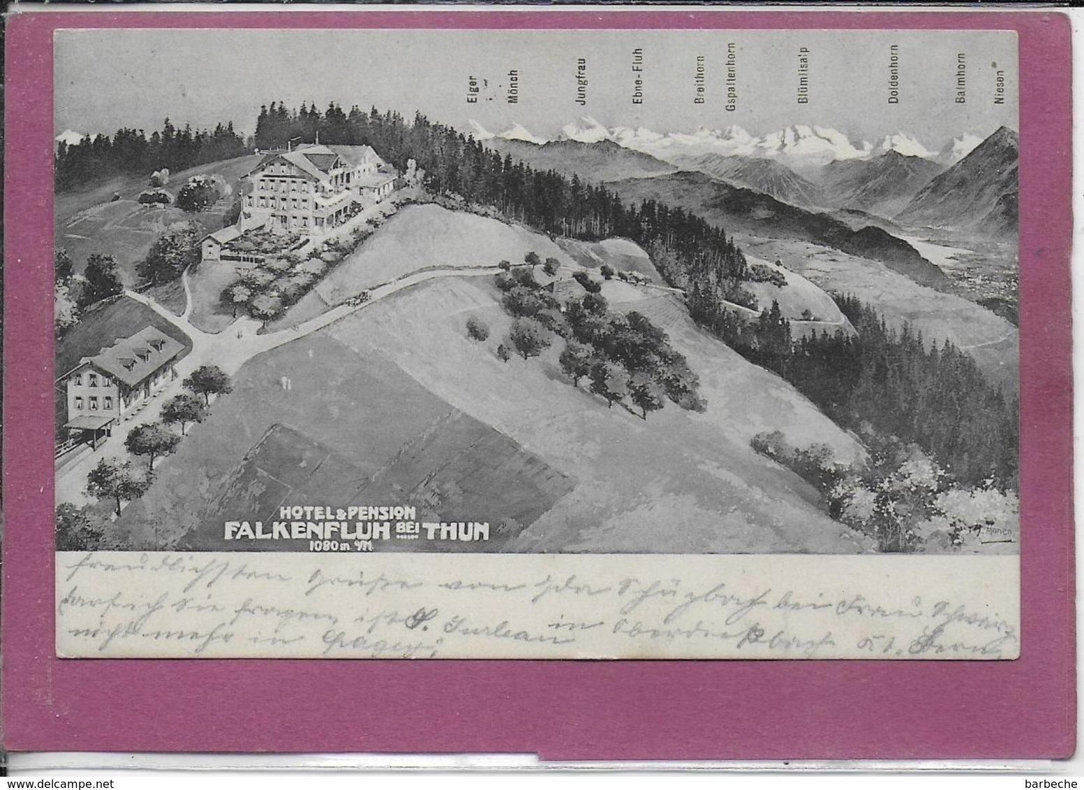 Hôtel Pension FALKENFLUH  - THUN - Autres & Non Classés