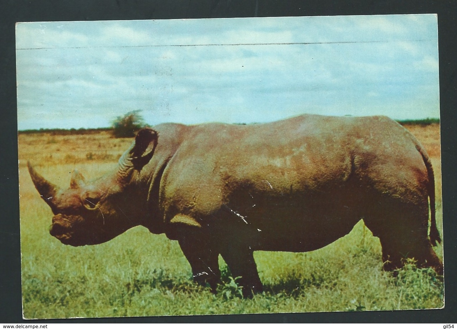 Cpm "  Kenya ( Mombasa )  Rhinocéros    Affranchie En 1957 - Raa 3619 - Kenya, Uganda & Tanganyika