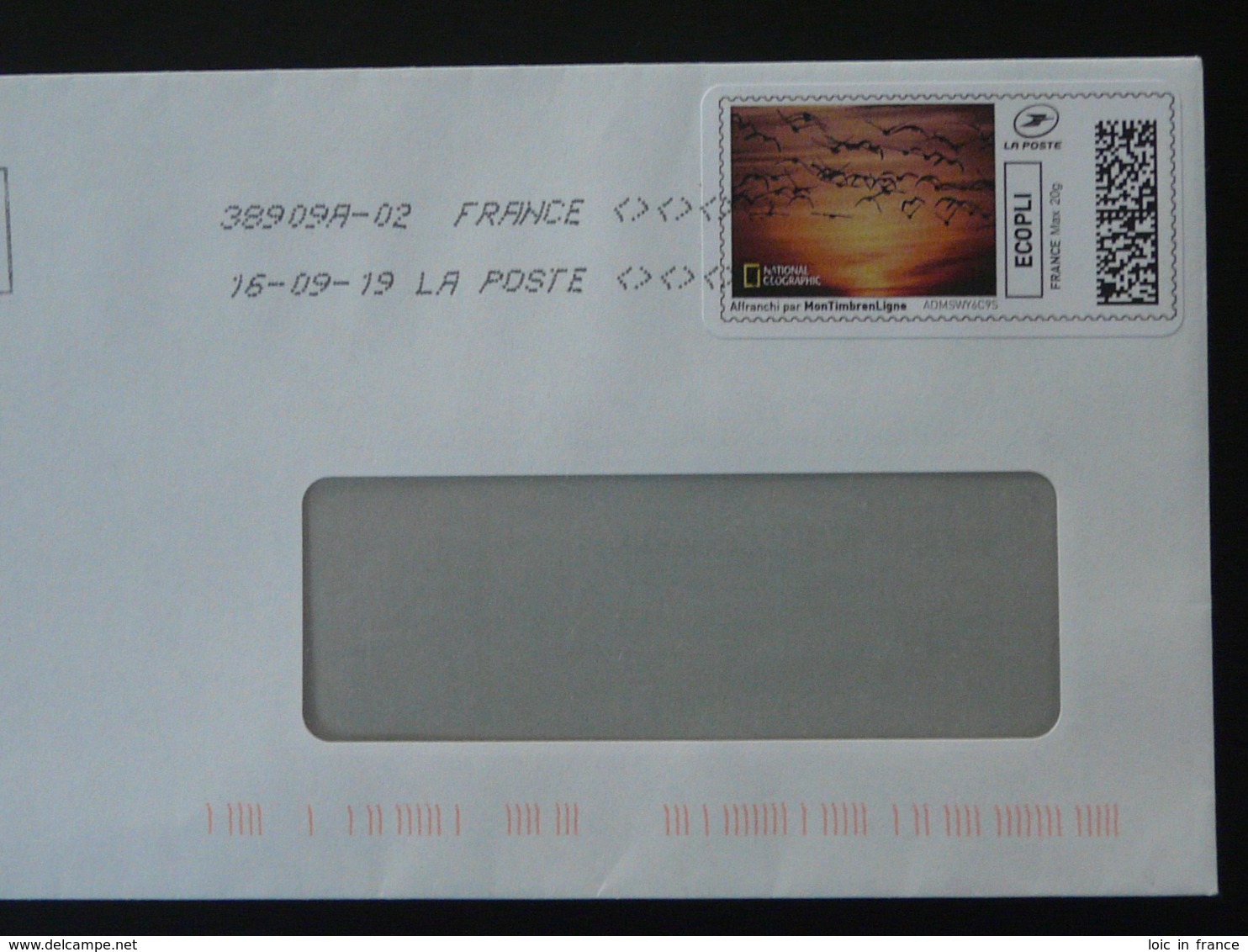 Vol D'oies Sauvages National Geographic Timbre En Ligne Montimbrenligne Sur Lettre (e-stamp On Cover) TPP 4781 - Oche