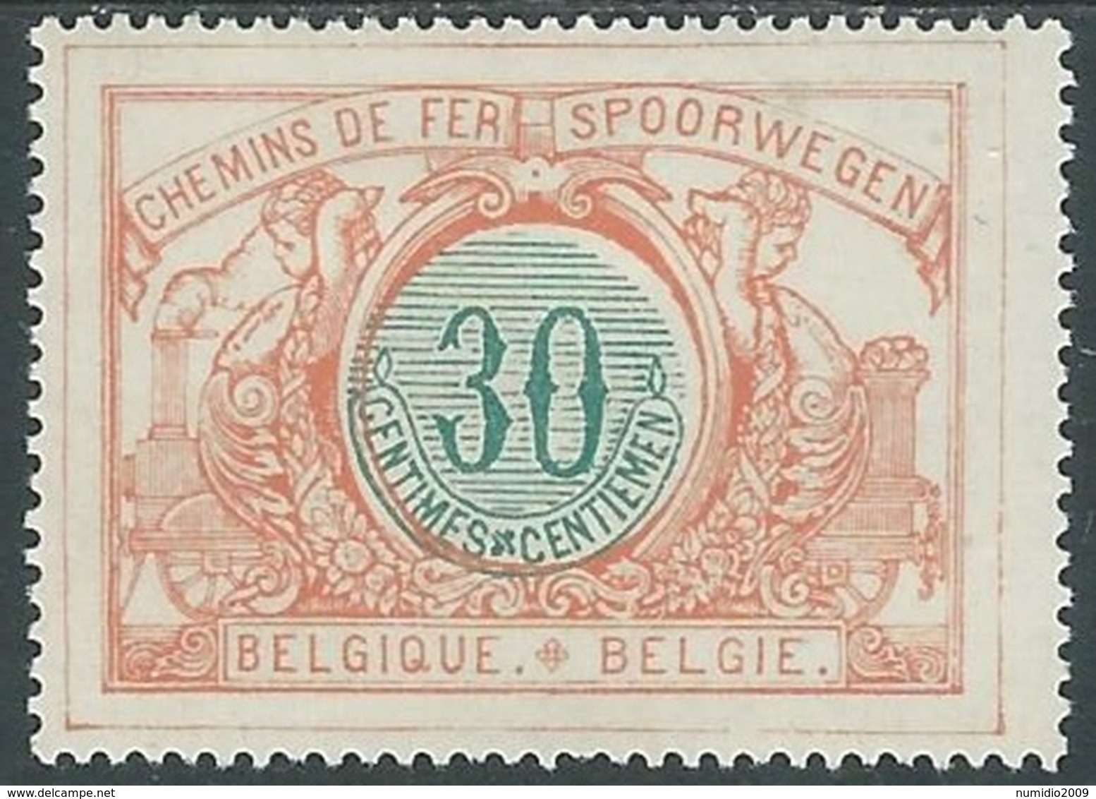 1902-05 BELGIO PACCHI POSTALI 30 CENT MH * - RB13-9 - Reisgoedzegels [BA]