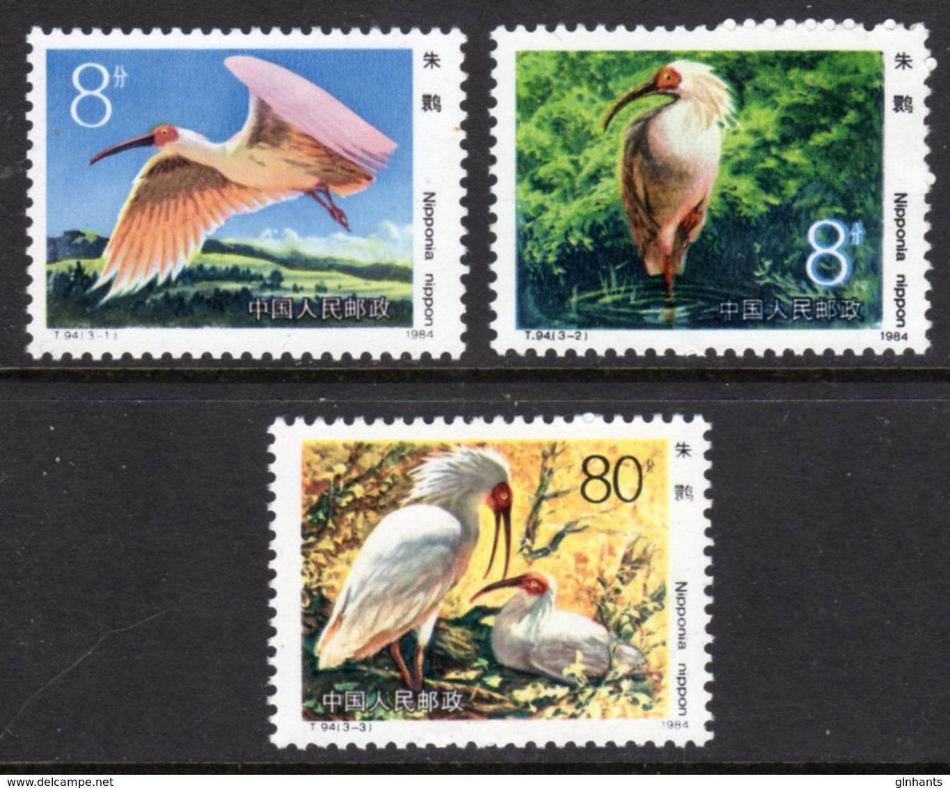 CHINA PEOPLE'S REPUBLIC - 1984 JAPANESE CRESTED IBIS BIRDS SET (3V) FINE MNH ** SG 3311-3313 - Usati