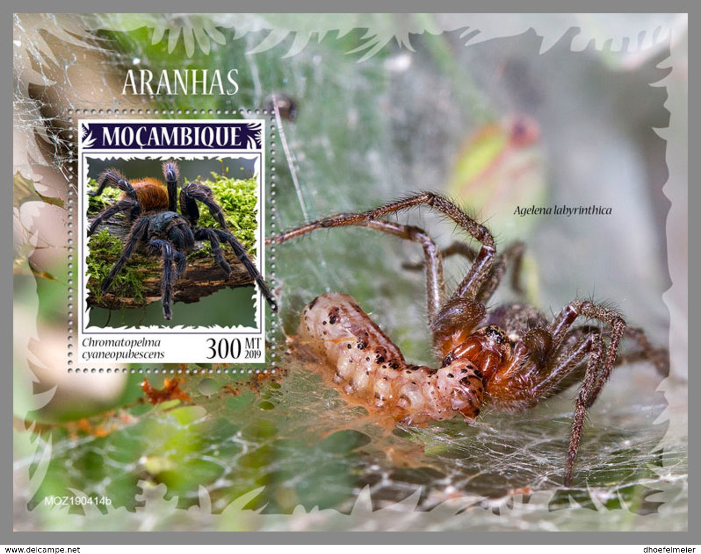 MOZAMBIQUE 2019 MNH Spiders Spinnen Araignees S/S - IMPERFORATED - DH1941 - Araignées