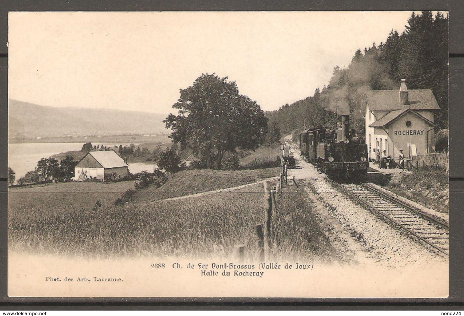 Carte P De 1905 ( Chemin De Fer / Pont-Brassus / Halte Du Rocheray ) - Roche