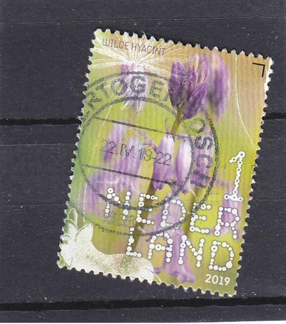 Bloemen 2019 Flowers, Blumen, Fleurs. - Used Stamps