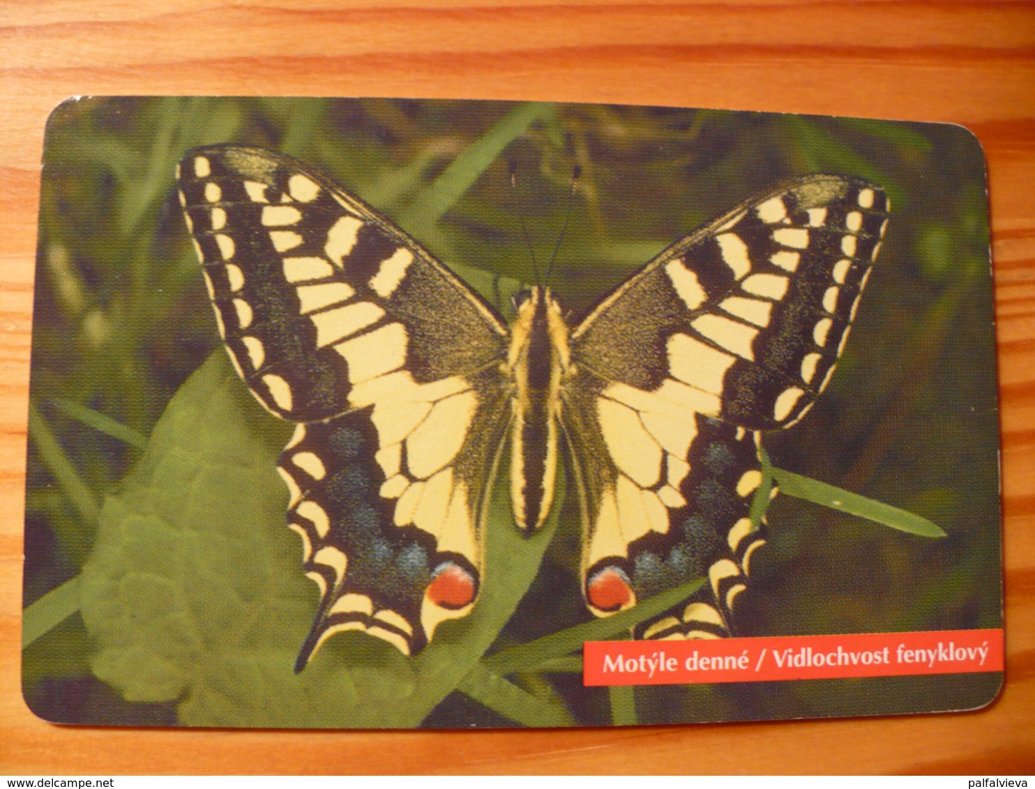 Phonecard Slovakia - Butterfly - Slovakia