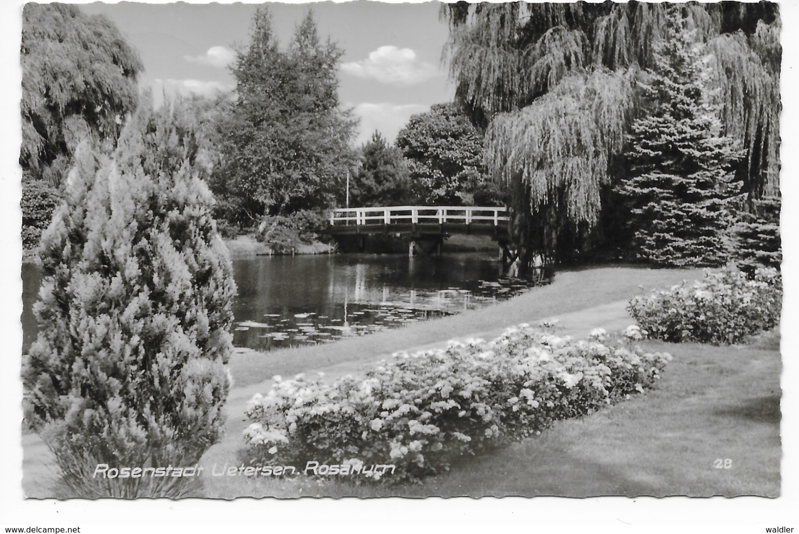 2082  ROSENSTADT UETERSEN, ROSARIUM  1962 - Uetersen