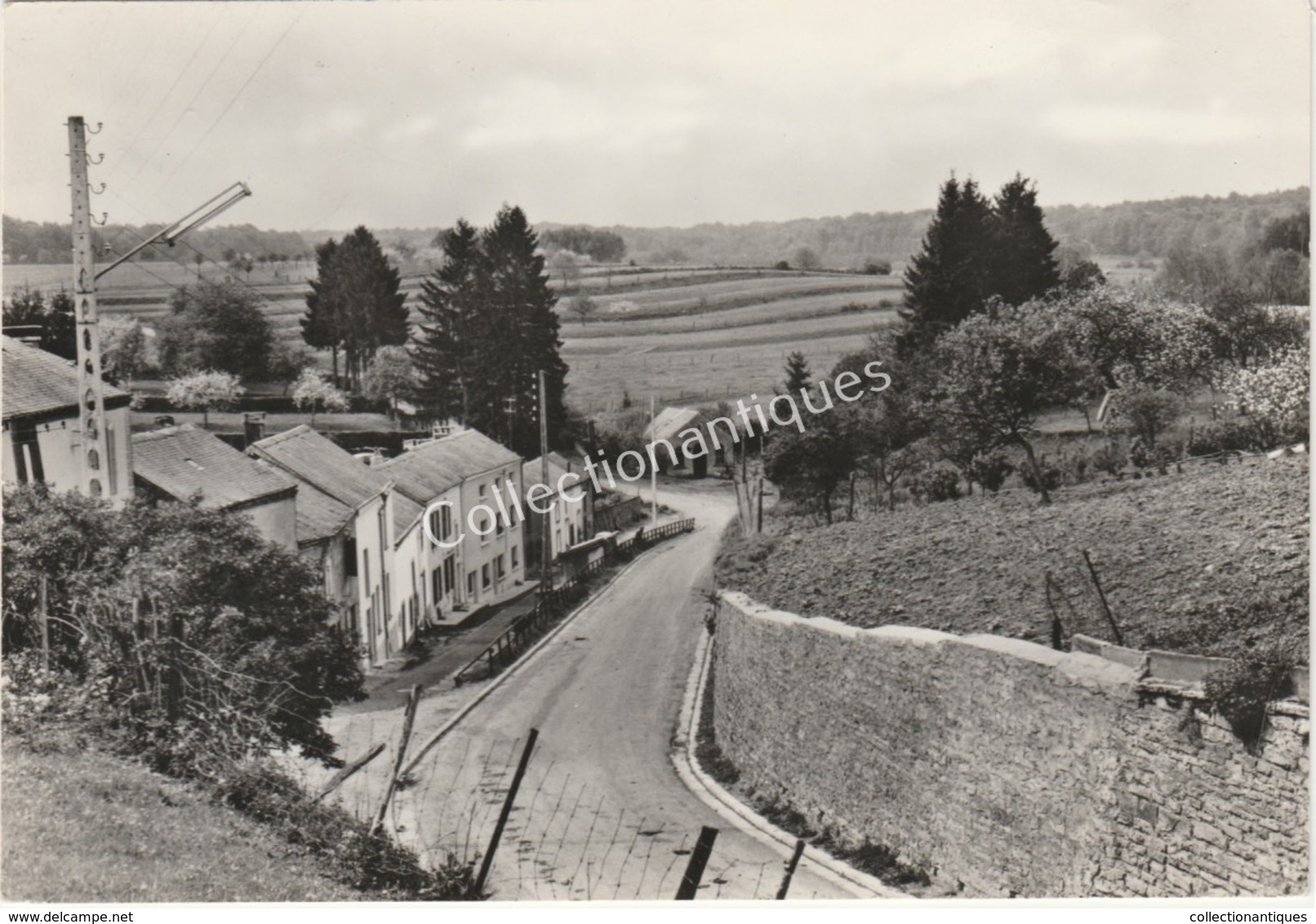 CPA Photographique Saint-Léger - La Rue De La Demoiselle - 1961 - Saint-Léger