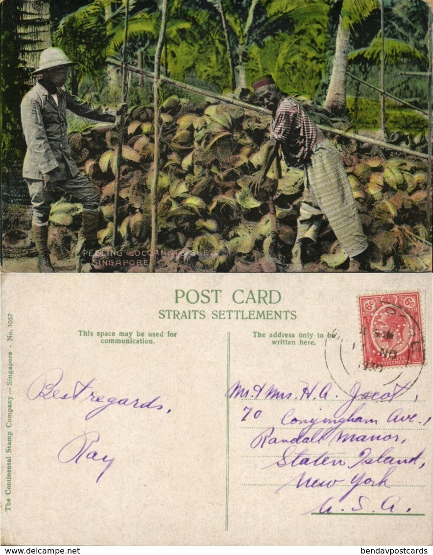 Straits Settlements, SINGAPORE, Native Man Peeling Cocoanuts Shell 1930 Postcard - Singapore