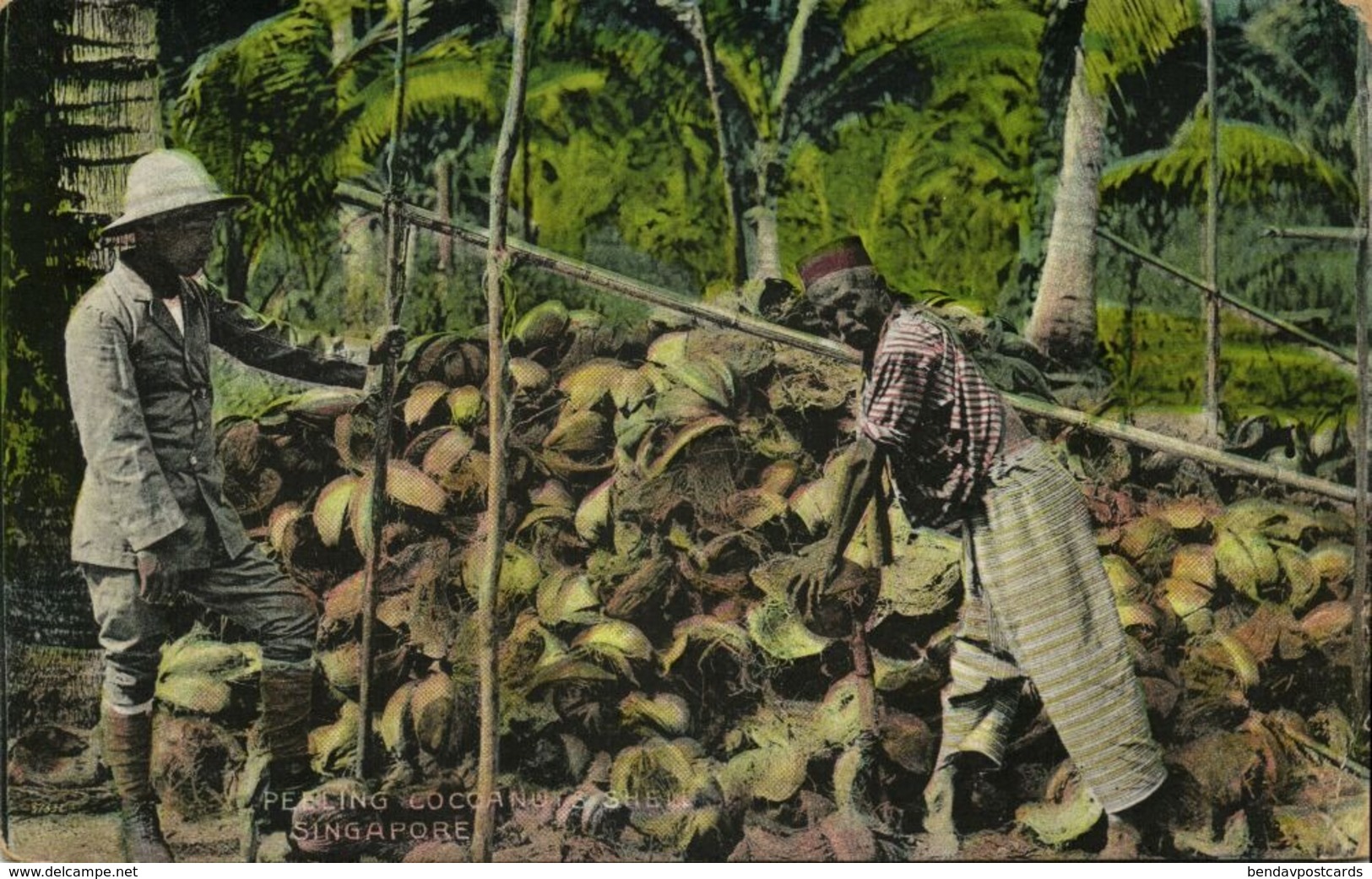 Straits Settlements, SINGAPORE, Native Man Peeling Cocoanuts Shell 1930 Postcard - Singapore