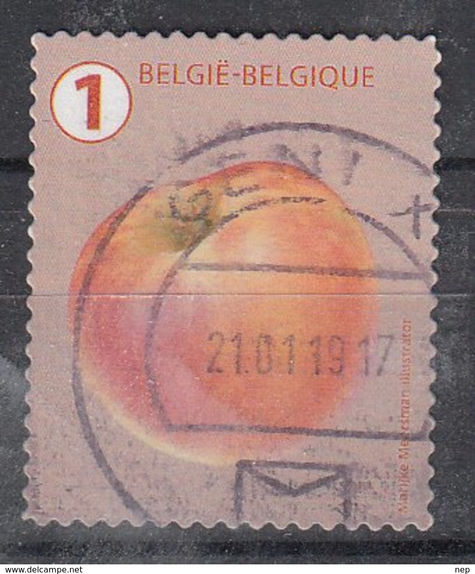 BELGIË - OPB - 2019 - Nr ? - Gest/Obl/Us - Oblitérés