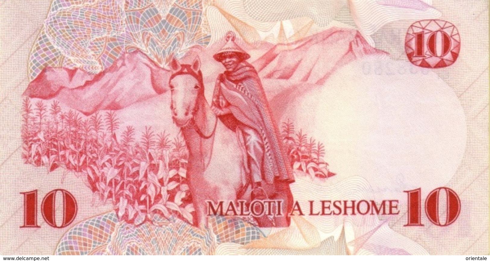 LESOTHO  P. 6b 10 M 1981 UNC - Lesoto