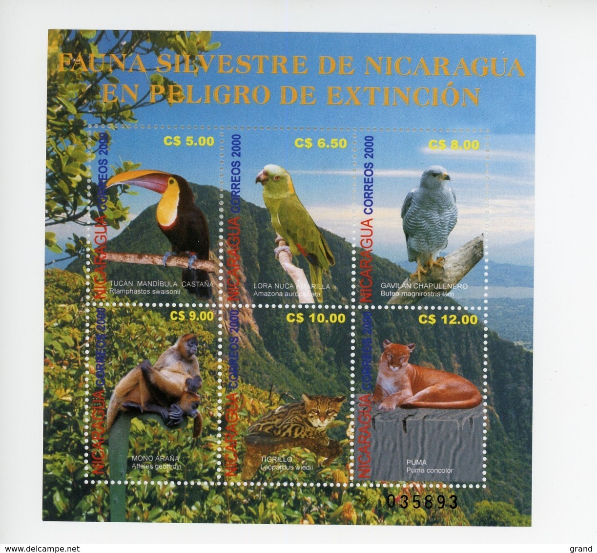 Nicaragua 2001-Toucan-Perroquet,félins,singe  YT 2534/38**MNH- - Perroquets & Tropicaux