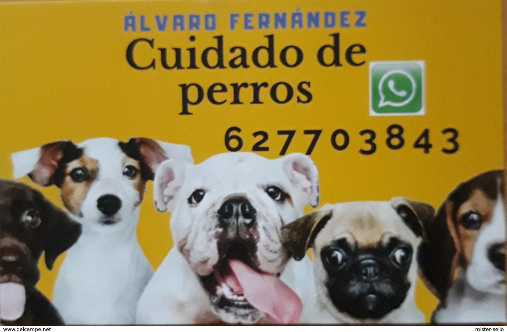 TARJETA DE CUIDADO DE PERROS DOGS. - Visiting Cards