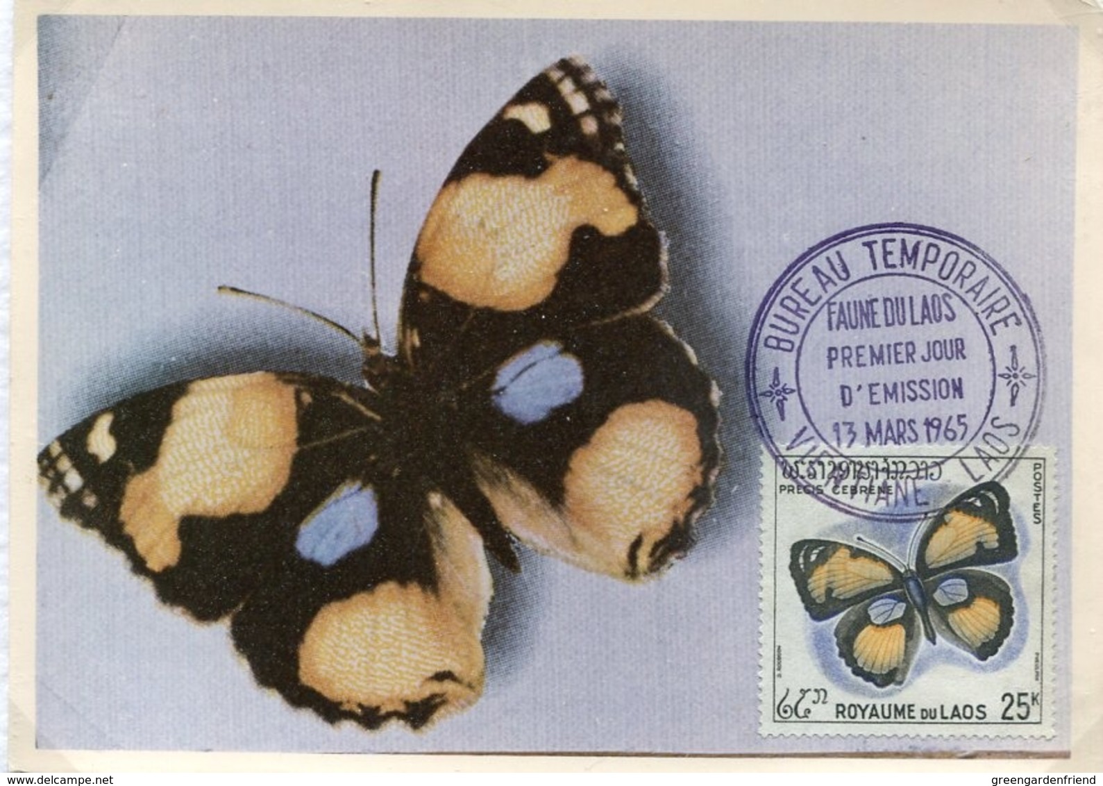 48350 Laos ,maximum  1965  Butterfly,schmetterlinge,papillon, Precis Cebrene - Butterflies