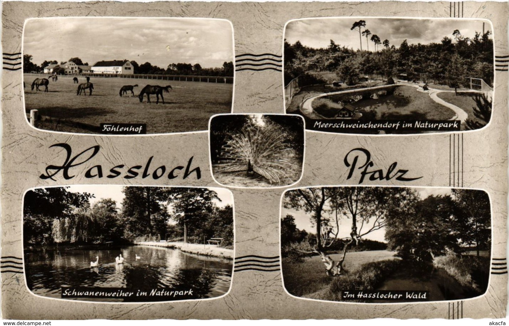 CPA AK Gruss Aus Hassloch GERMANY (898757) - Hassloch