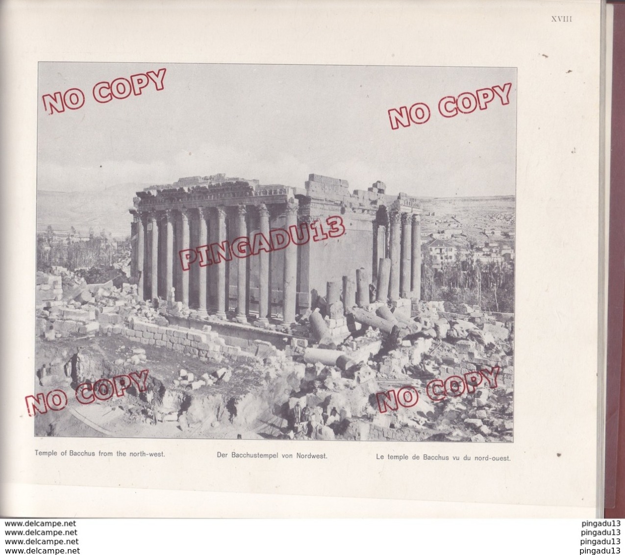 Au Plus Rapide Baalbek Liban Lebanon Livret Format 22 Par 28 Cm Année 1910 Très Bon état 30 Photos - Autres & Non Classés