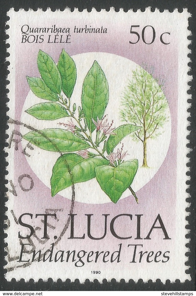 St Lucia. 1990 Endangered Species. 50c Used. SG 1085 - St.Lucia (1979-...)