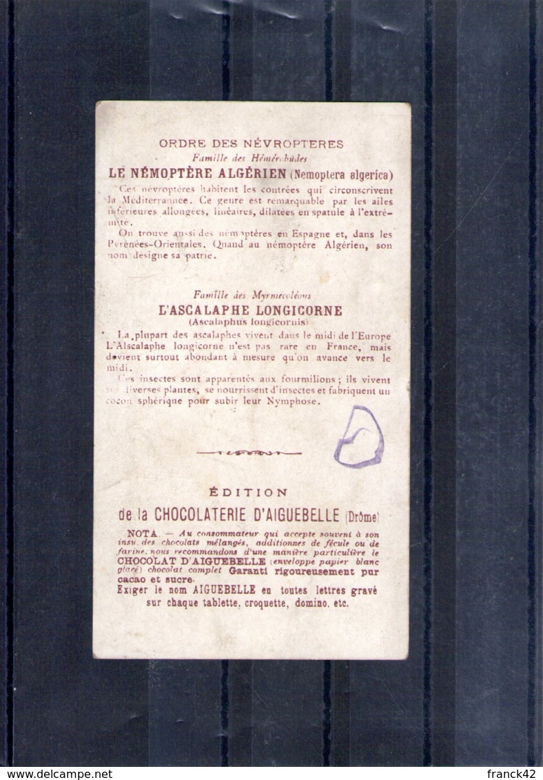 Chocolaterie D'aiguebelle. Ordre Des Névroptères. Némoptère Et Ascalaphe - Aiguebelle