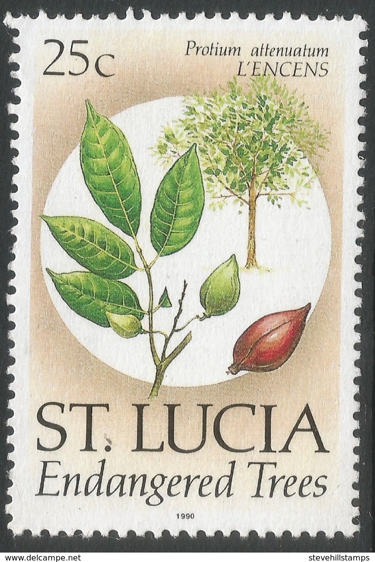St Lucia. 1990 Endangered Species. 25c MH. SG 1084 - St.Lucia (1979-...)