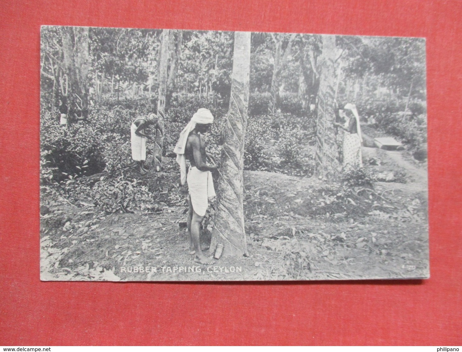 Sri Lanka (Ceylon)  Rubber Tapping Ceylon  Ref 3679 - Sri Lanka (Ceylon)