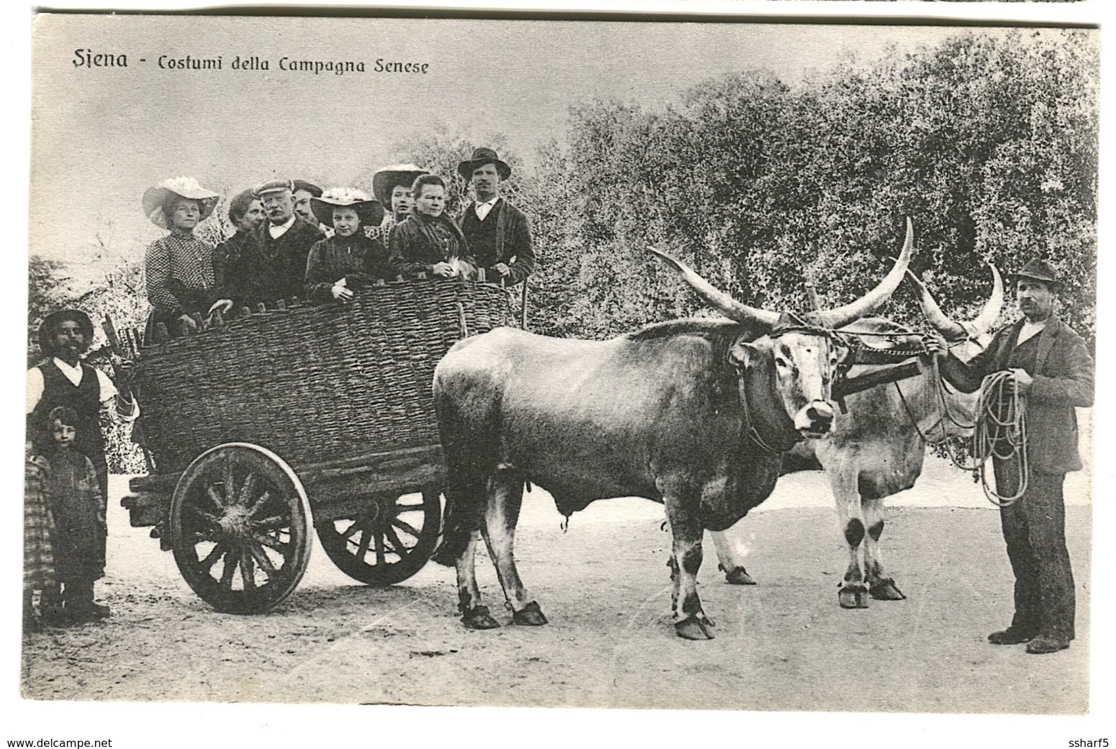 Siena Costumi Della Campagna Senese FAMIGLIA Di 8 VIAGGIANDO In Un Barroccio Tirato Da Bue C. 1908 - Siena