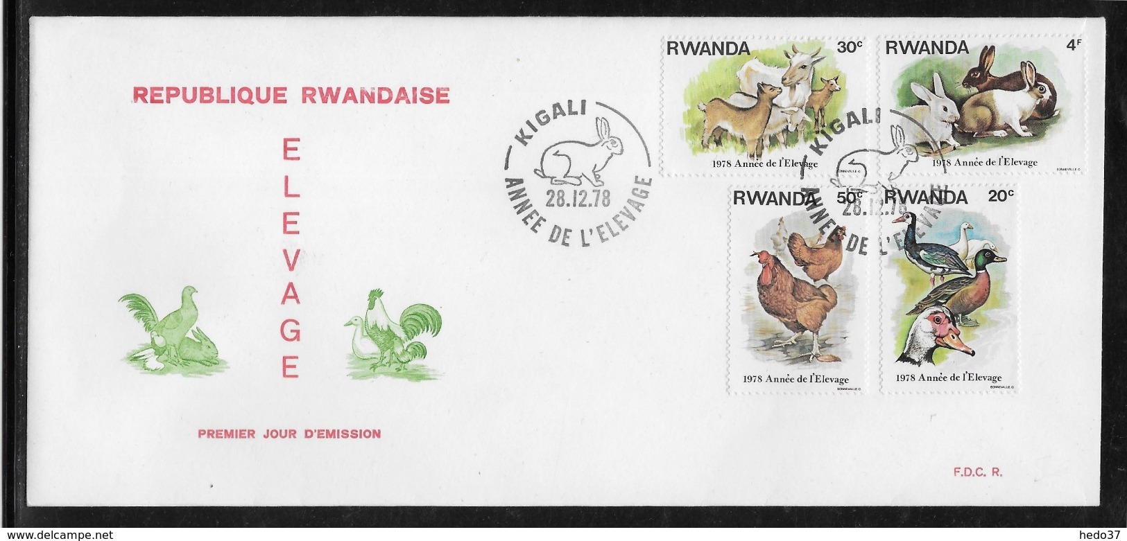 Thème Animaux - Lapin, Poule, Canard, Biquette- Rwanda - Enveloppe - Conigli