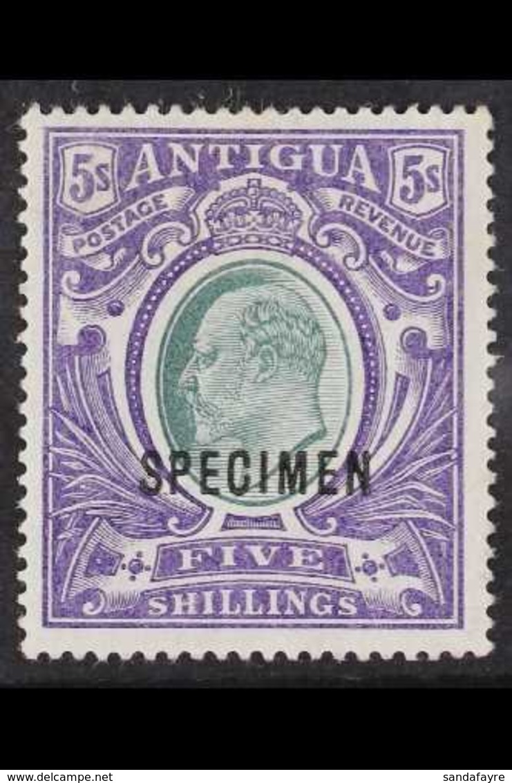 1903-07 (wmk CC) KEVII 5s Grey-green And Violet With "SPECIMEN" Overprint, SG 40s, Fine Mint. Fresh And Attractive. For  - Otros & Sin Clasificación