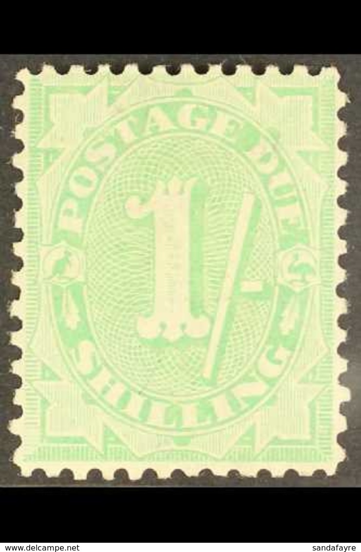 POSTAGE DUES 1908 1s Dull Green, Stroke After Figure Of Value, Perf 11½ X 11. SG D58, Very Fine Mint. For More Images, P - Other & Unclassified