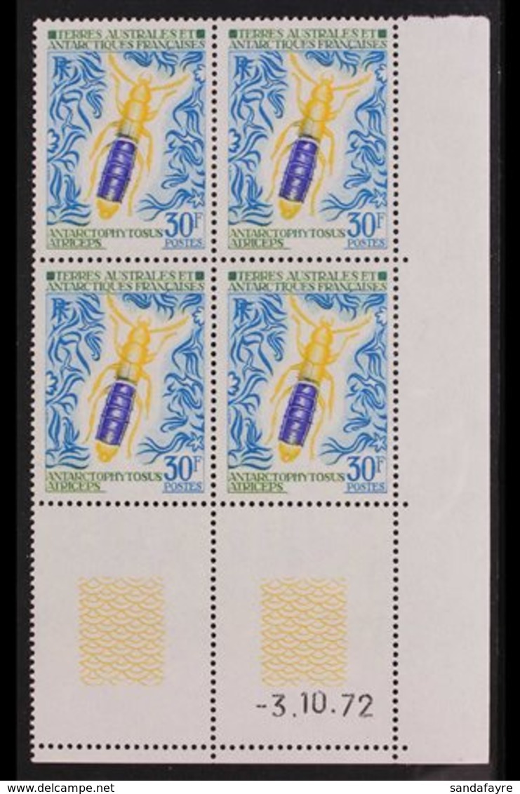 TAAF 1973 Insects Complete Set, Yvert 49/51, Superb Never Hinged Mint Lower Right Corner DATE BLOCKS Of 4, Very Fresh. ( - Other & Unclassified