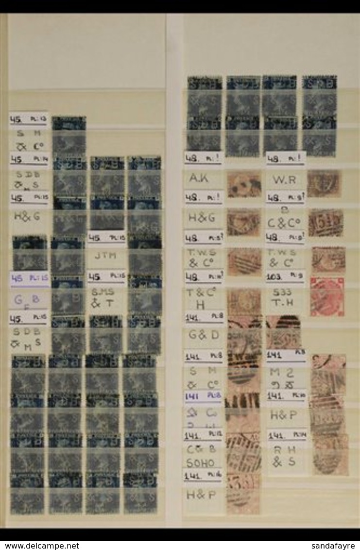 PERFINS COLLECTION An Impressive Array Of QV Used Stamps With Commercial Perfins Displayed On Stockleaves, With Each Sta - Altri & Non Classificati