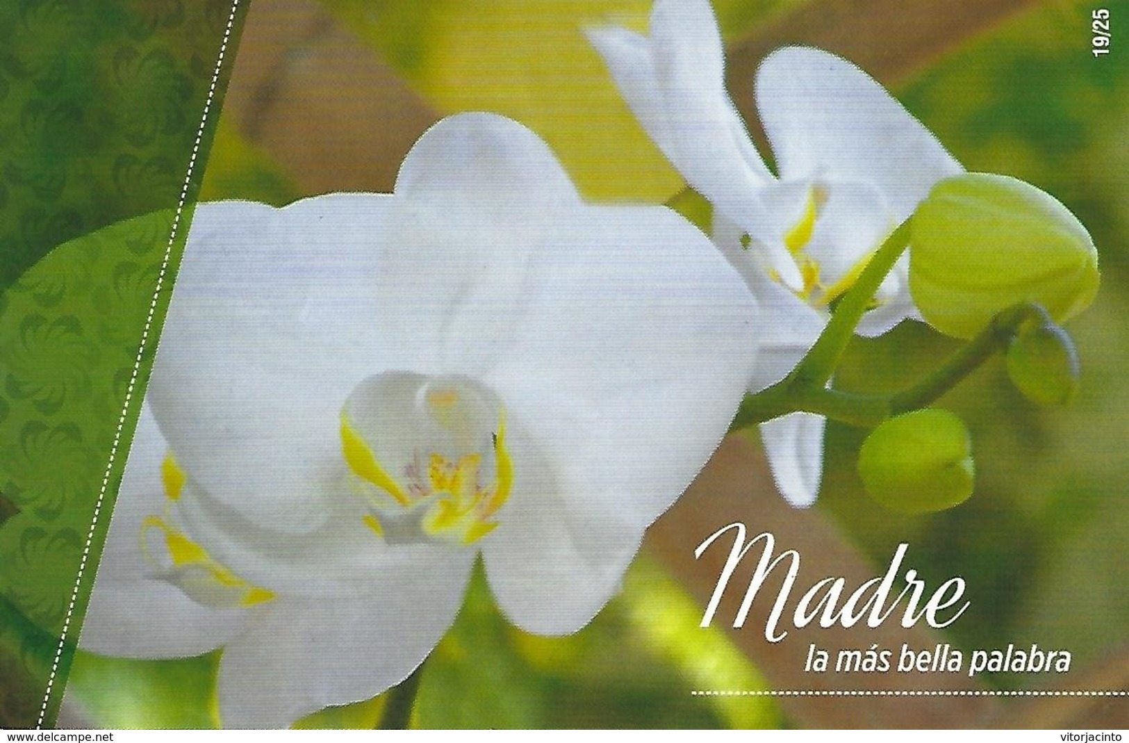 CUBA -  (PAP) Entier Postaux - Mother'a Day - Cuba - Mother's Day