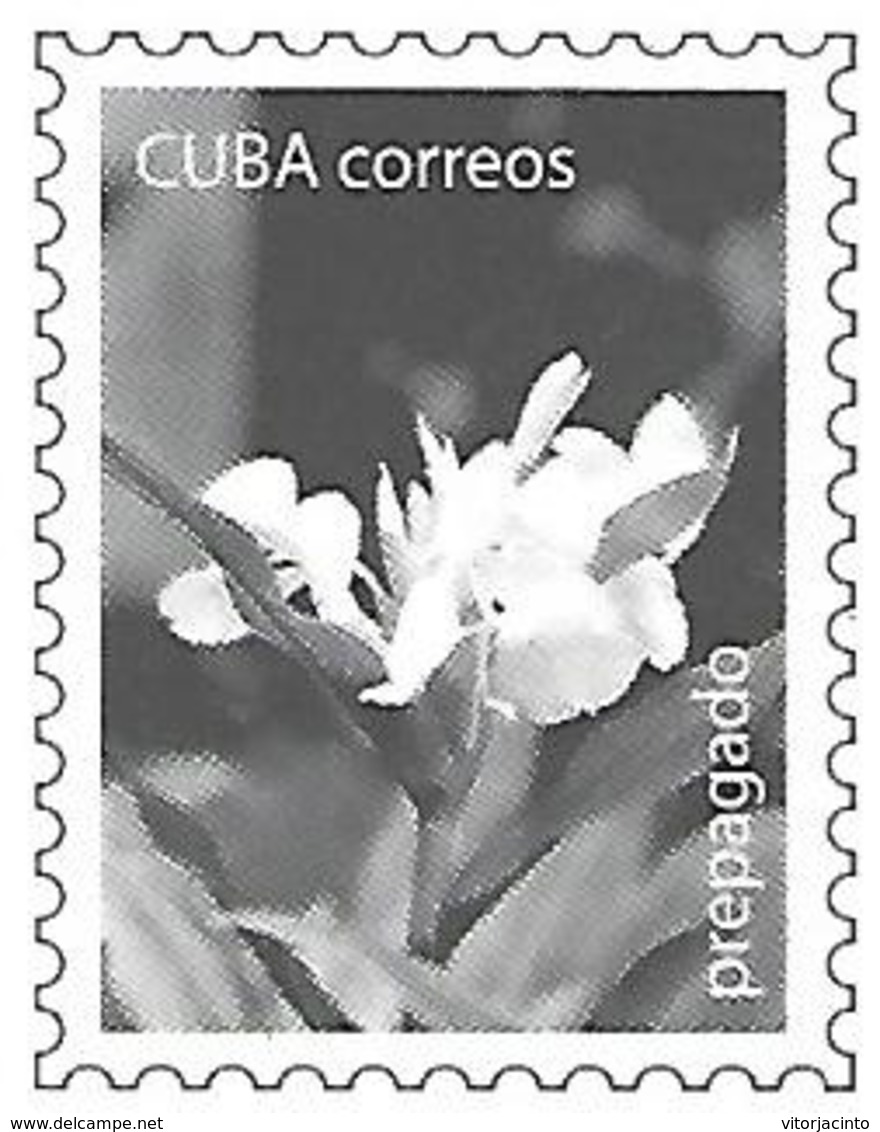 CUBA -  (PAP) Entier Postaux - Mother'a Day - Cuba - Mother's Day