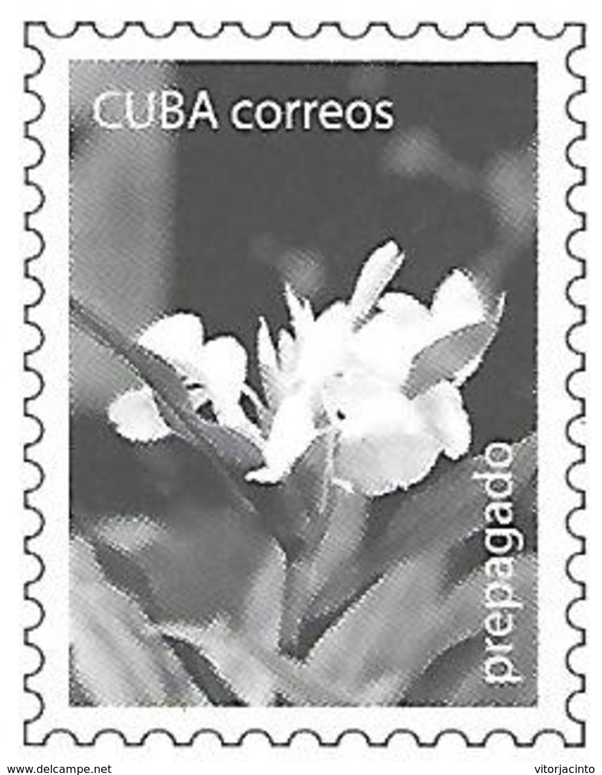 CUBA - (PAP) Entier Postaux - Mother'a Day - Cuba - Mother's Day