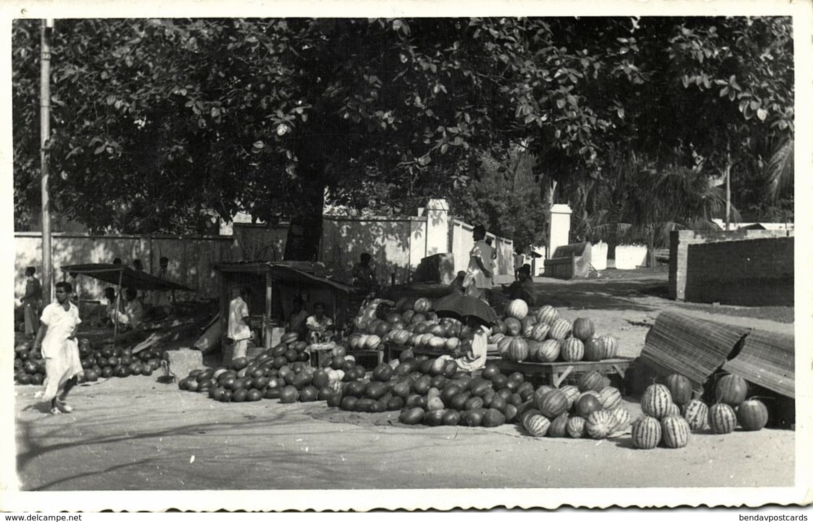 East Pakistan, Bangladesh, Market Scene, Melon Seller (1970) RPPC Postcard - Bangladesh