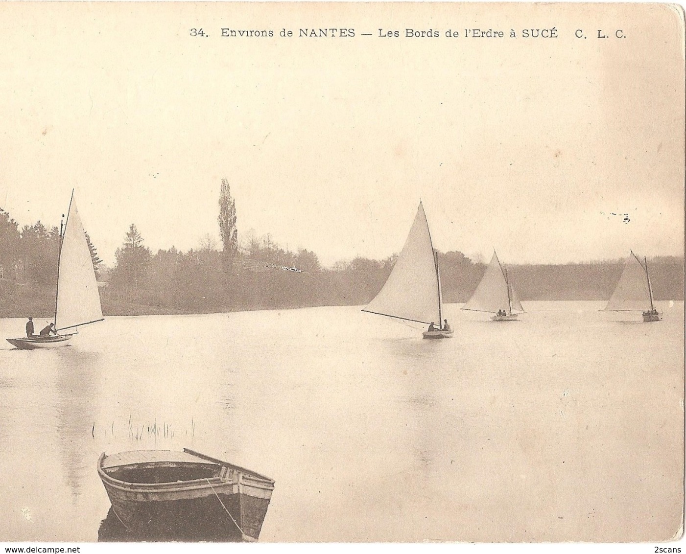 GRAND FORMAT - Dépt 44 - SUCÉ-SUR-ERDRE - Les Bords De L'Erdre à Sucé - CARTE PANORAMIQUE (10,9 X 27,9 Cm) - CLC N° 34 - Other & Unclassified