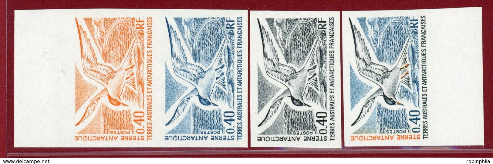 FSAT (TAAF) 1976 #58, Color Proof X4, Antarctic Tern, Bird - Unused Stamps