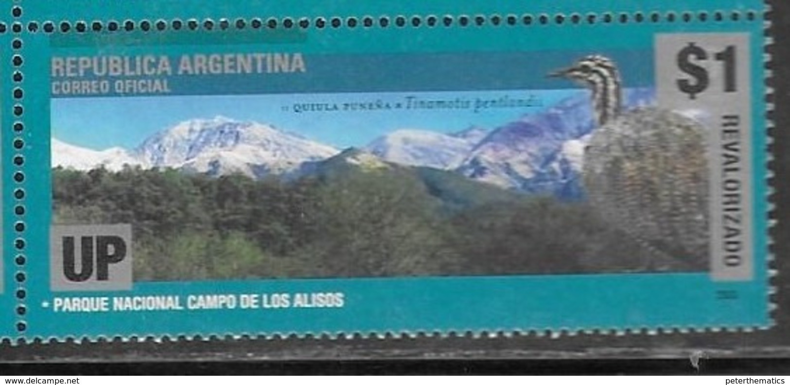 ARGENTINA, 2019, MNH, FAUNA,BIRDS, MOUNTAINS, 1v OVERPRINT - Otros & Sin Clasificación