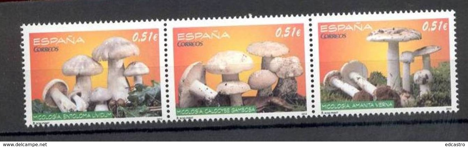 21.- ESPAÑA SPAIN 2012. MUSHROOMS. CHAMPIGNON. SETAS FUNGHI - Hongos