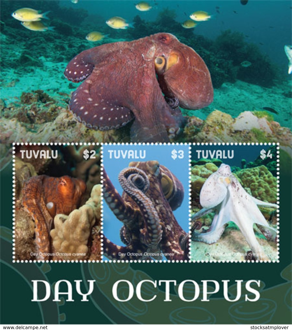 Tuvalu  2019 Fauna  Day Octopus I201901 - Tuvalu