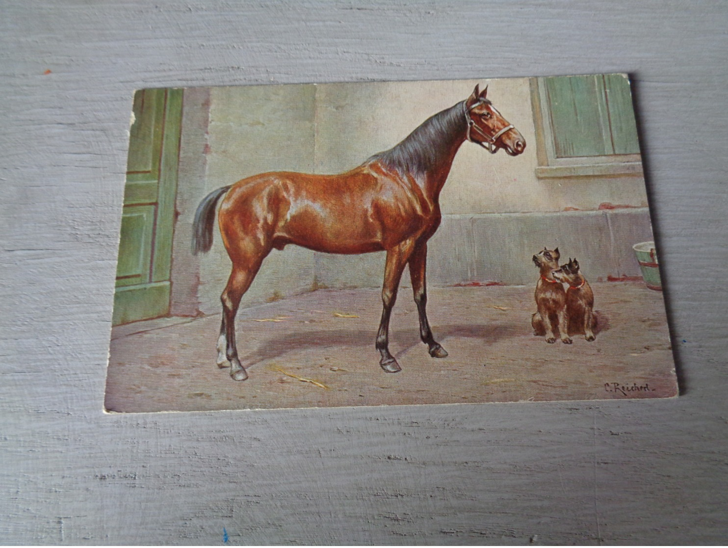 Carte ( 473 ) Fantaisie  Fantasie  Thème : Animal   Cheval  Paard  - Illustrateur C. Reichert - Chevaux