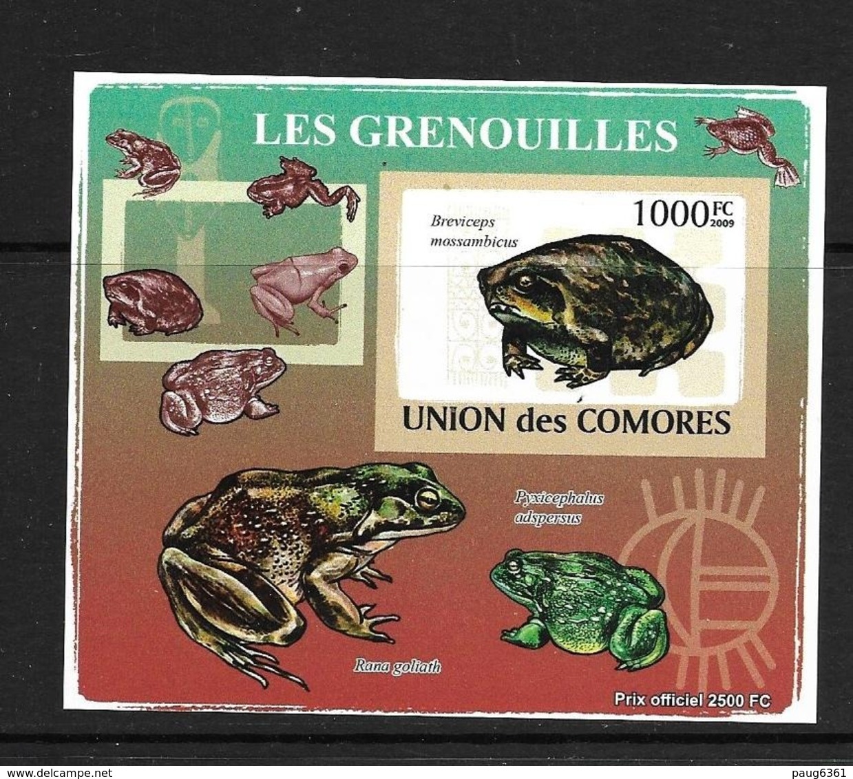 UNION DES COMORES 2009 GRENOUILLES YVERT N°1524 NON DENTELE NEUF MNH** - Grenouilles