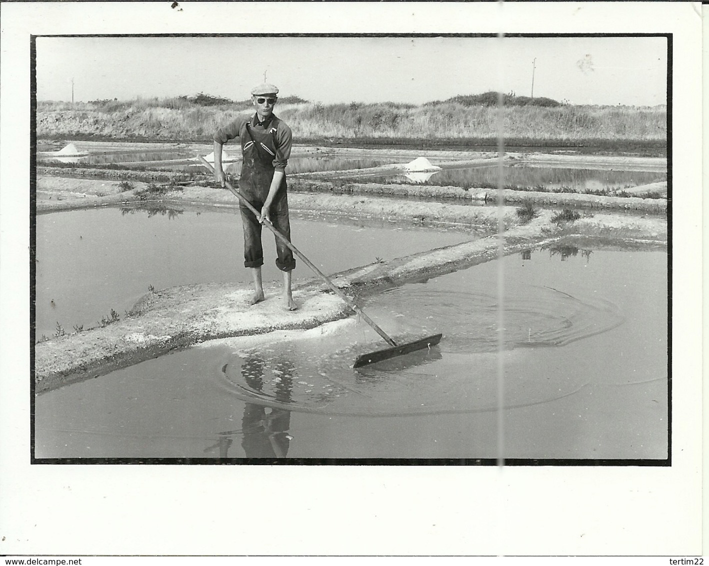 ( METIERS )( MARAIS SALANTS )( ILE DE RE )( 17 CHARENTES MARITIMES ) JUILLET 1984.PHOTO 15 X 12 - Métiers