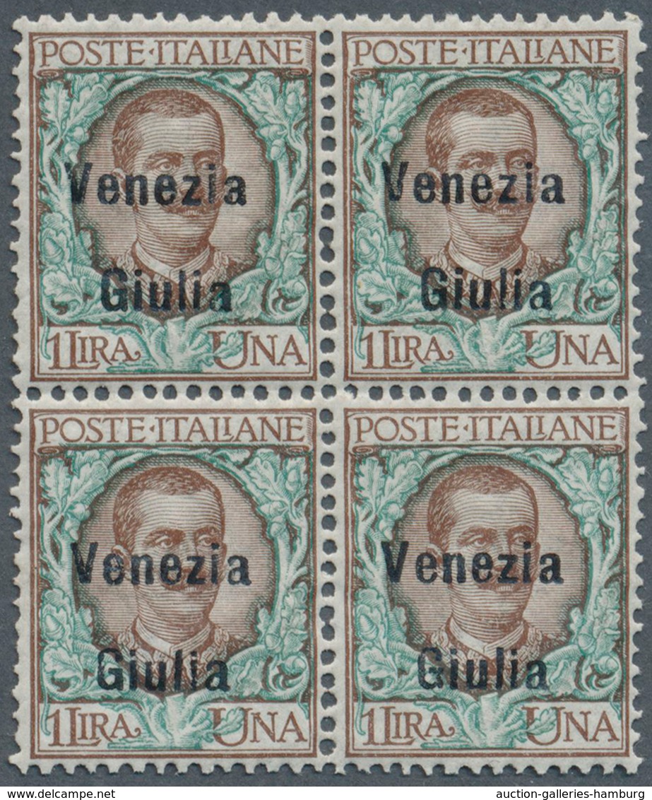 Italienische Besetzung 1918/23 - Julisch-Venetien: 1918/1919, 1c. To 1l., Complete Set Of Eleven Sta - Venezia Giulia