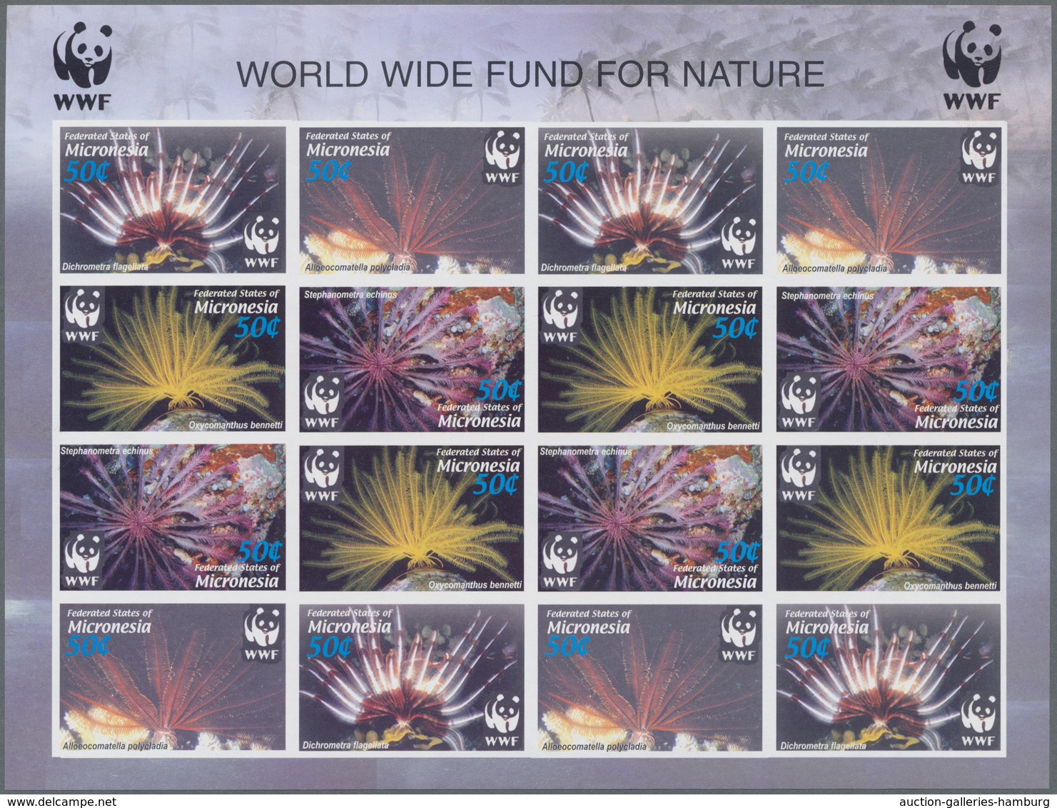 Thematik: WWF: 2005, MICRONESIA: WWF (Maldives Feather Star) In Complete Perforate And IMPERFORATE S - Other & Unclassified