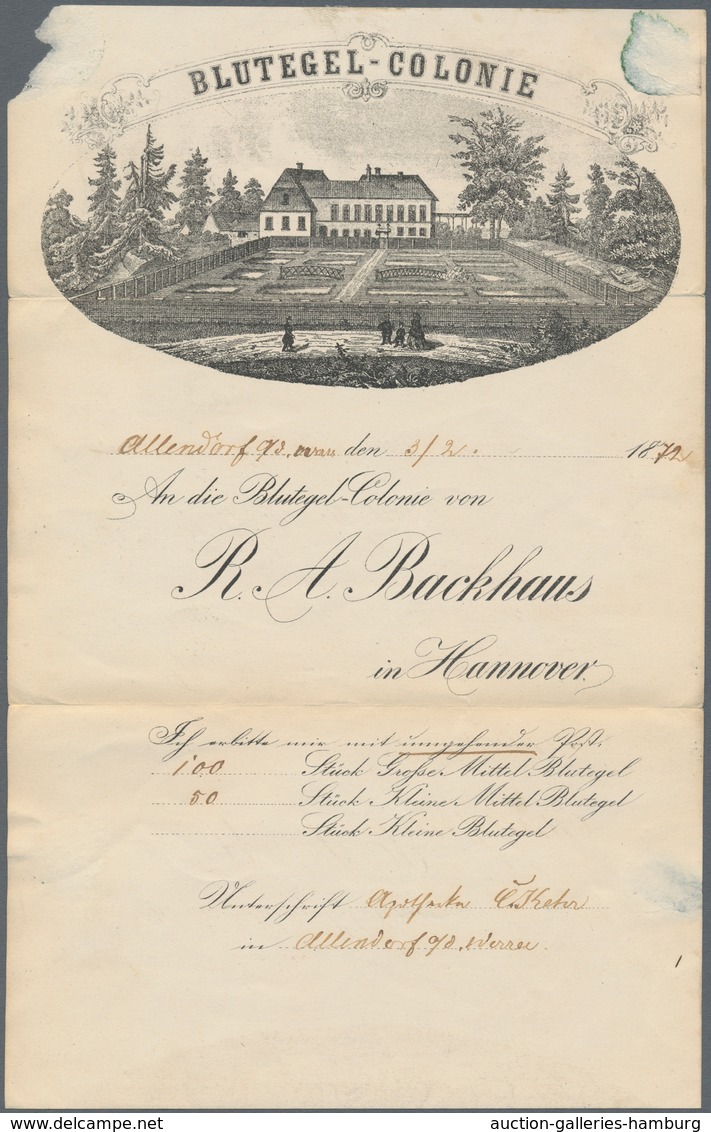 Deutsches Reich - Brustschild: 1872 Großer Schild 1 Gr Karmin A. Vordruckbrief "An Die Blutegel-Colo - Sonstige & Ohne Zuordnung